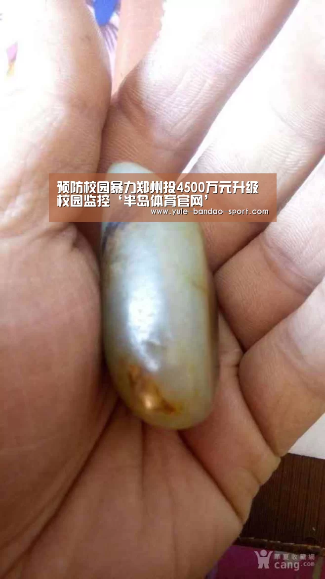 预防校园暴力郑州投4500万元升级校园监控‘半岛体育官网’(图1) 半岛体育