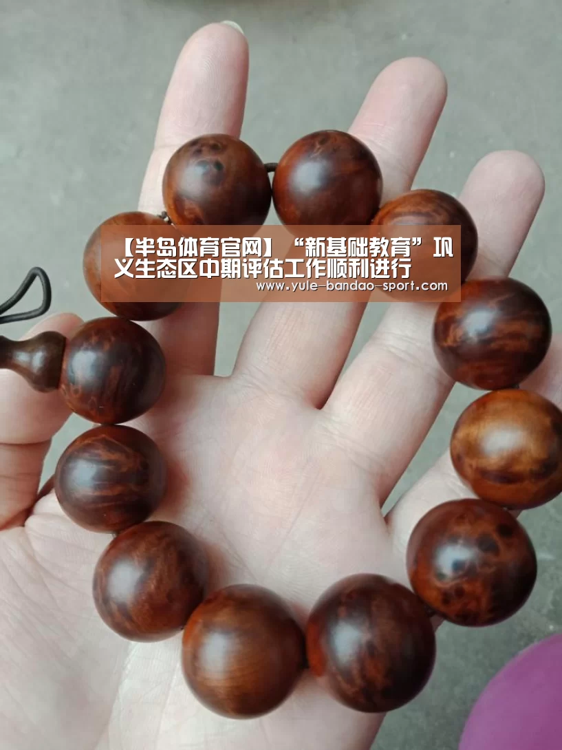 【半岛体育官网】“新基础教育”巩义生态区中期评估工作顺利进行(图1) 半岛体育直播