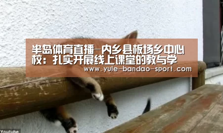 半岛体育直播-内乡县板场乡中心校:扎实开展线上课堂的教与学(图2) 半岛体育平台