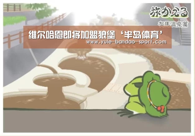 维尔哈恩即将加盟狼堡‘半岛体育’(图3) 半岛体育