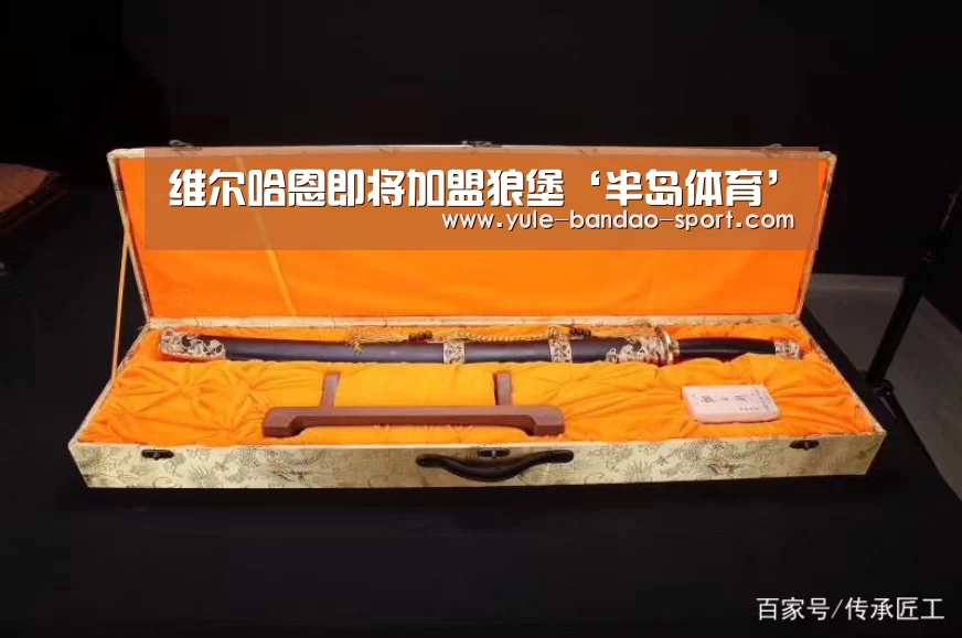 维尔哈恩即将加盟狼堡‘半岛体育’(图2) 半岛体育官网