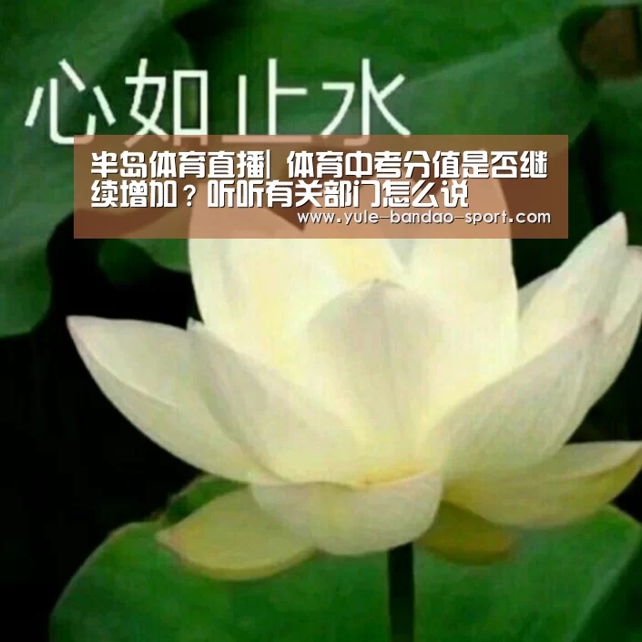 半岛体育
